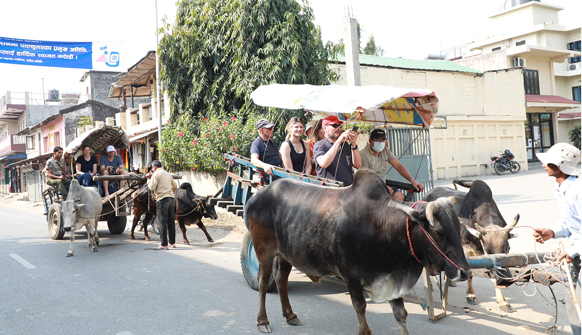 गोरूगाडामा सौराह घुम्दै विदेशी पर्यटक