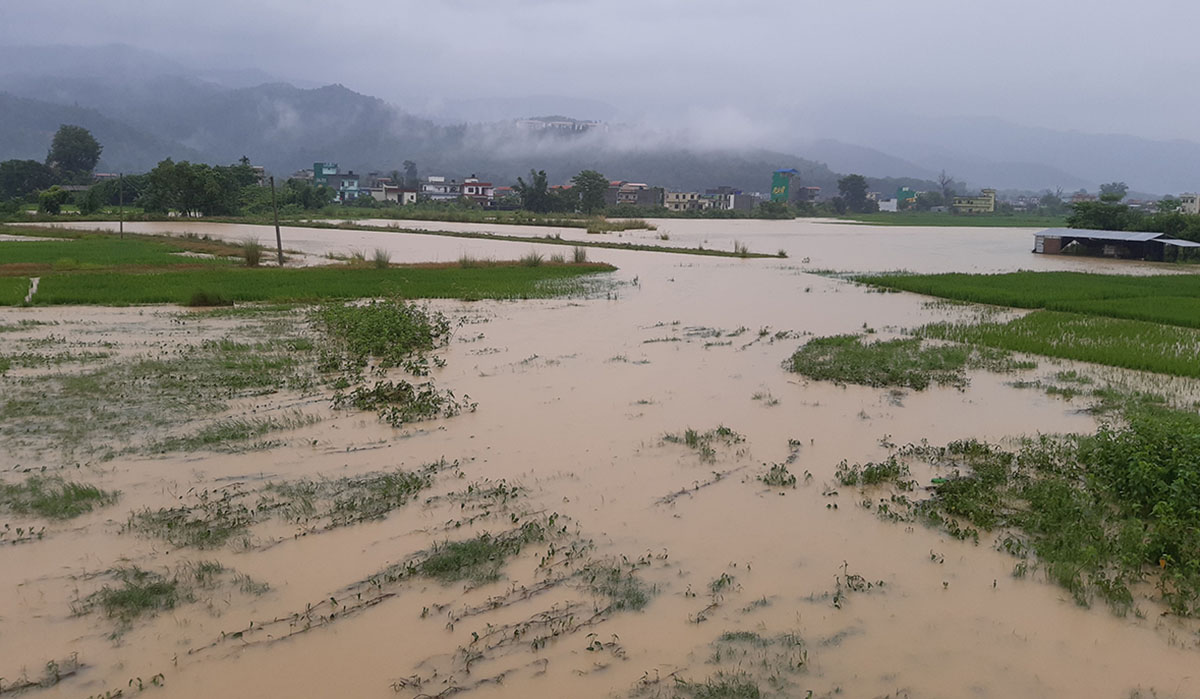 अविरल वर्षाले बुटवलकाे सोरौली दक्षिणक्षेत्र जलमग्न