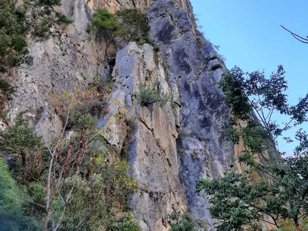 भीरमा फालेर ६ वर्षीय छोराको हत्या