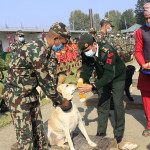 कुकुर तिहार विशेष : कला प्रदर्शनीसहित नेपाली सेनाले गर्याे कुकुरकाे पूजा (फाेटाेफिचर)