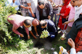 बिपी स्मृतिमा काठमाडौंको टोखामा वृक्षरोपण