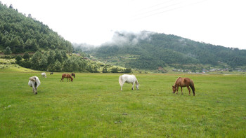 ढोरपाटनमा पर्यटक आगमन दोब्बरले बृद्धि