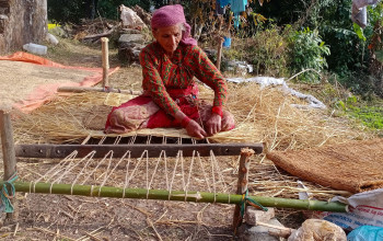 परालबाट गुन्द्री बुन्दै पाेखराकी एक महिला