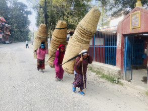 भकारी बिक्री गर्न हिँडेका महिला उद्यमी