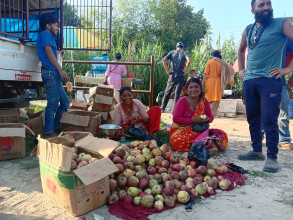 जुम्लाका उत्पादन, कैलालीमा व्यापार