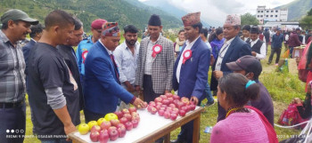 जुम्लामा तेस्रो स्याउ महोत्सव 