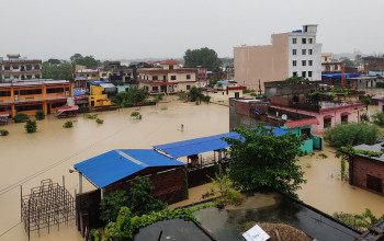 नवलपरासीमा २८ वर्षयताकै ठूलो बाढी : दुईको मृत्यु, करोडौंको क्षति