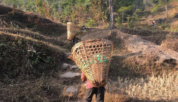 सम्बन्धविच्छेदकाे असर बालबालिकामा : बढ्दैछ ‘बालश्रम’, घट्दैछ विद्यालय जीवन