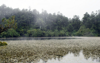 धार्मिक महत्व बाेकेकाे ताप्लेजुङकाे भुत पाेखरी