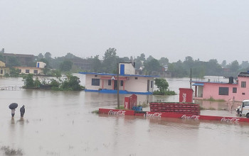 अविरल वर्षाका कारण धनगढी क्षेत्र जलमग्न, दर्जनाैँ घर डुवानमा