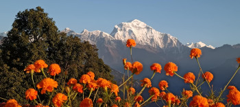 धौलागिरि हिमाल