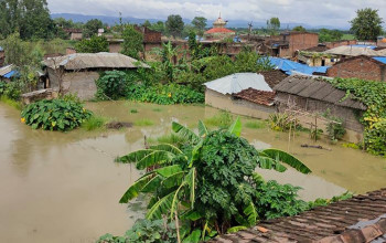 अविरल वर्षाका कारण सिरहाका विभिन्न बस्ती डुबानमा