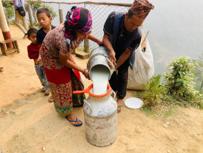 सहकारीमार्फत दूधको बजारीकरण भएपछि किसान उत्साहित