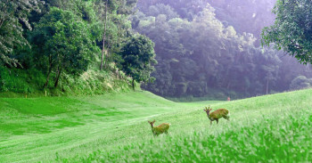 सरकारी जग्गा  ‘लिज’मा दिन नयाँ व्यवस्था : के भन्छ कार्यनीति ? कस्ताे छ विधि र प्रक्रिया ?