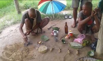 धान उत्पादनमा वृद्धि हुने बिश्वासका साथ थारू समुदायले मनाए हरेरी पूजा