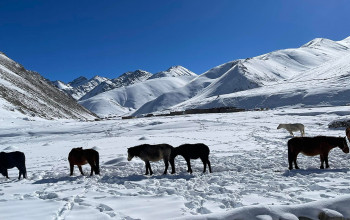 हिमपातपछि खुलेको हिमाली भेगका मनमोहक दृश्यहरु, हेर्नुहाेस् १४ तस्बिरमा