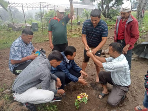 जन्मदिनमा वृक्षरोपण अभियानद्वारा 'एक पालिका, एक नर्सरी'को शुभारम्भ