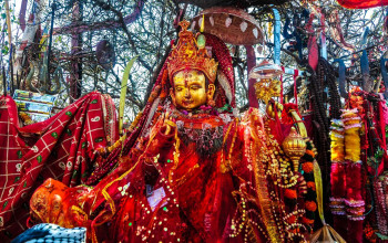 पाथीभरामा एकैदिन चार हजार दर्शनार्थी