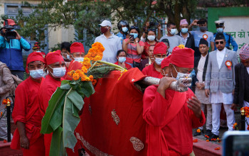 हर्ष बढाइँका साथ दशैं घरमा फूलपाती भित्र्याइयो (फोटोफिचर)