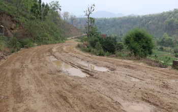 मुख्यमन्त्री ग्रामीण सडक अलपत्र