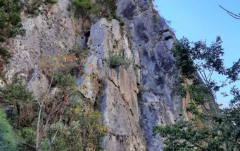 भीरमा फालेर ६ वर्षीय छोराको हत्या