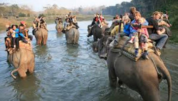 अङ्ग्रेजी नयाँ वर्षकाे शुरूसँगै चितवनमा पर्यटककाे भीड