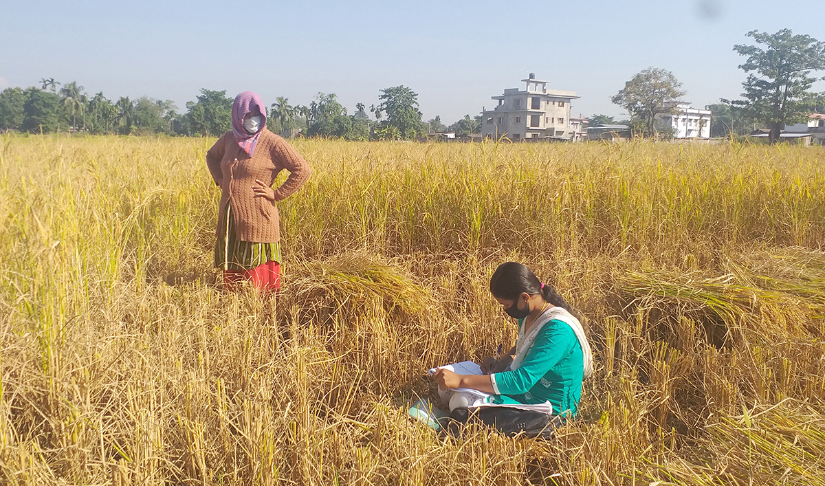 खेतमै पुगेर जनगणना गर्दै गणक