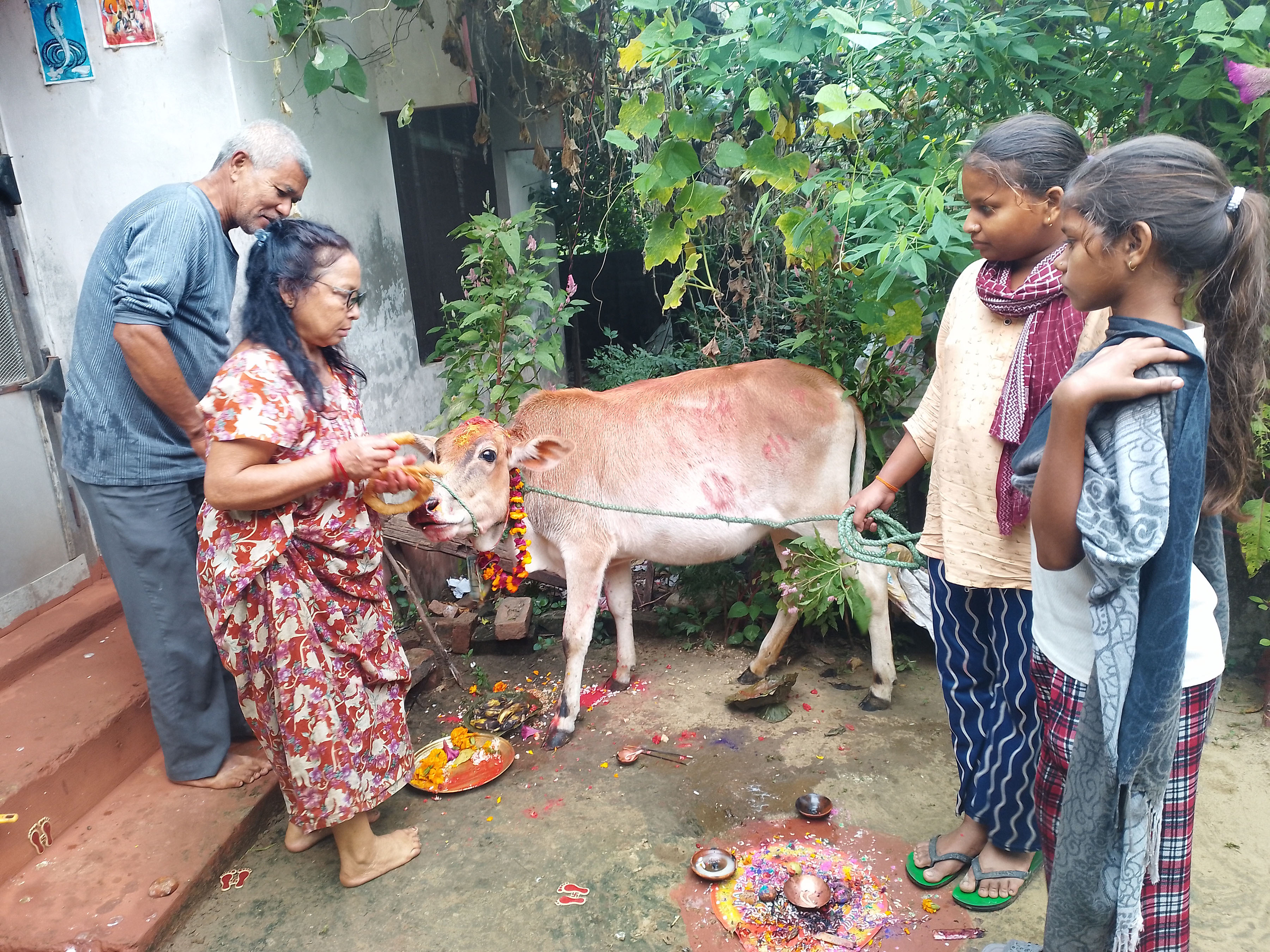 गाईपूजा