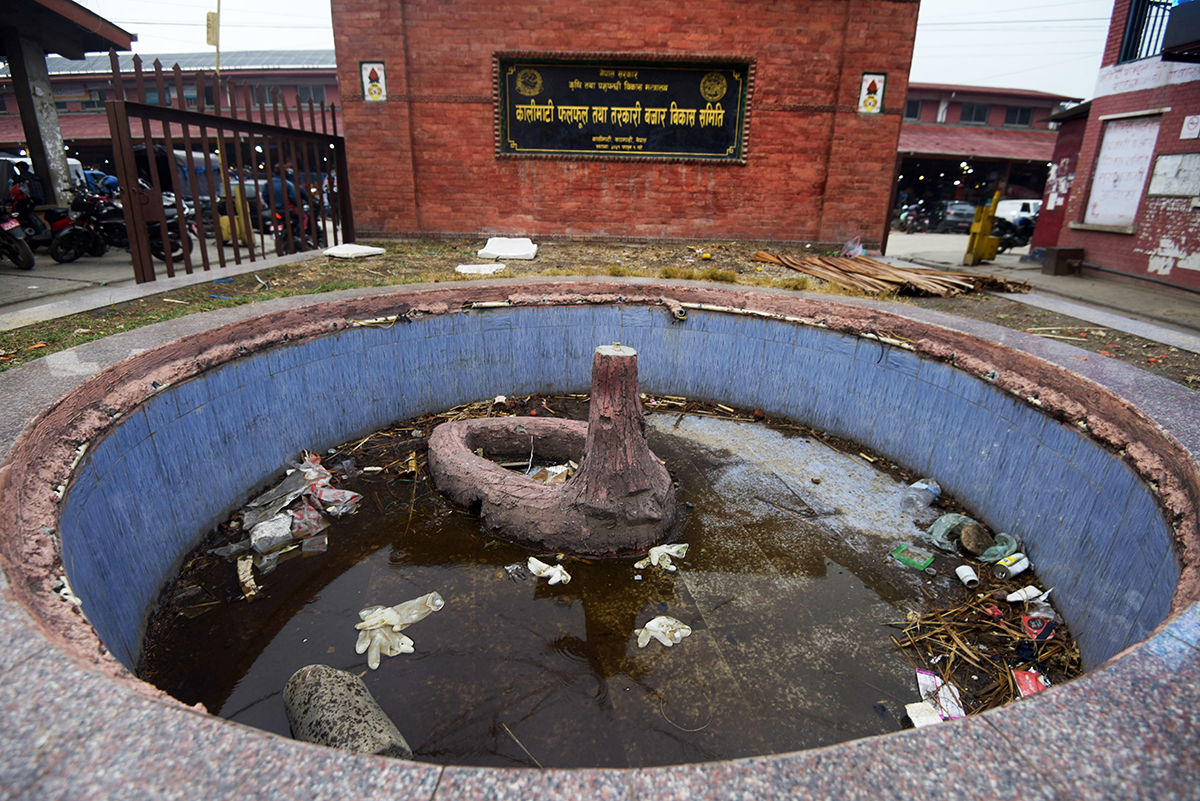 vagetable-market-at-kathmandu-AKD_4122-(8)-1711168665.jpg