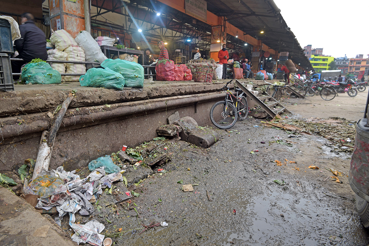 vagetable-market-at-kathmandu-AKD_4122-(9)-1711168665.jpg